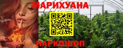 мдпв Гусев