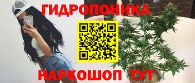 мдпв Гусев